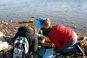 Students examining river water samples